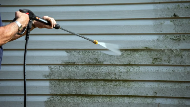 tampa-pressure-washing-service